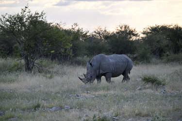 Similar image 22209378