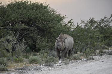 Similar image 22209379