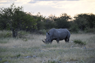 Similar image 22209380