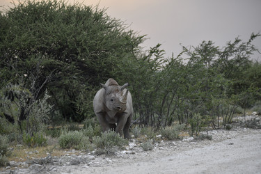 Similar image 22209381