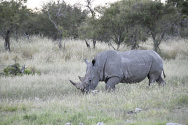 Similar image 22209382