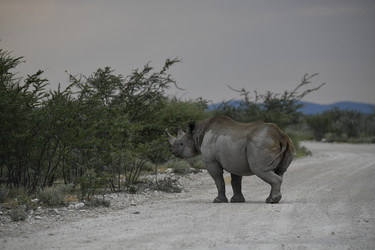 Similar image 22209383