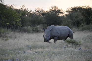 Similar image 22209385