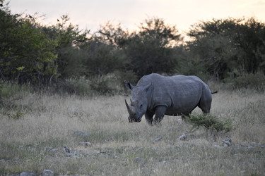 Similar image 22209386