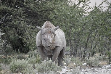 Similar image 22209387