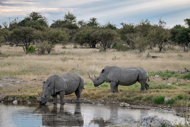 Similar image 22209388