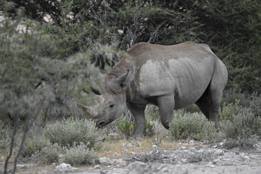 Similar image 22209389