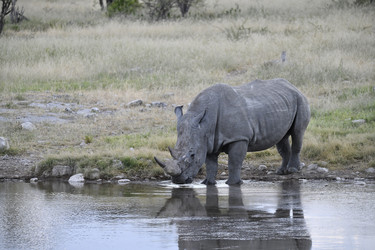 Similar image 22209390