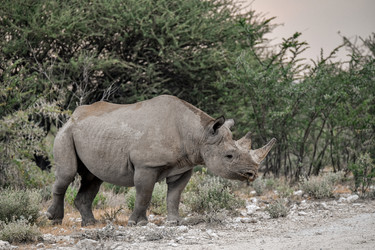 Similar image 22209391