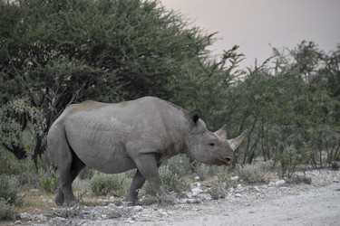 Similar image 22209393