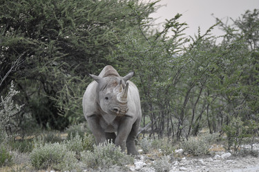 Similar image 22209395