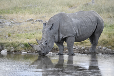 Similar image 22209396