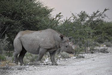 Similar image 22209397