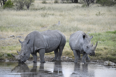 Similar image 22209398