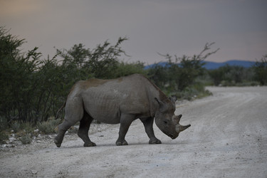 Similar image 22209399