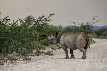 Similar image 22209400