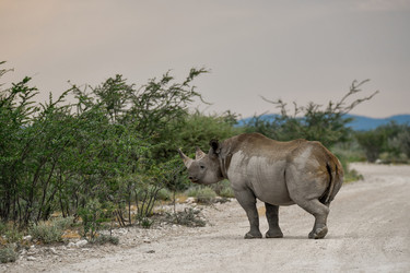 Similar image 22209401