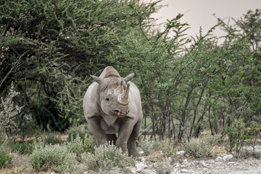 Similar image 22209019