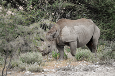 Similar image 22209020