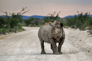 Similar image 22209021