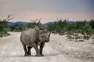 Similar image 22209022