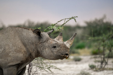 Similar image 22209023