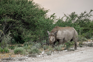 Similar image 22209024