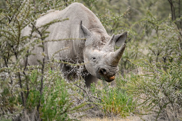 Similar image 22209027