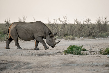 Similar image 22209028