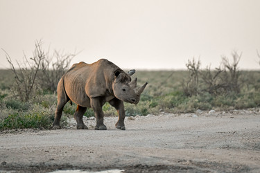 Similar image 22209029