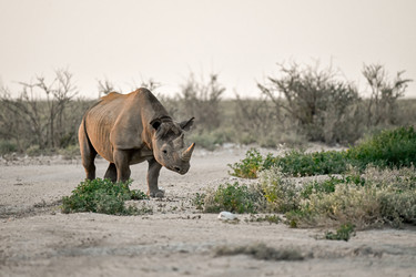 Similar image 22209031