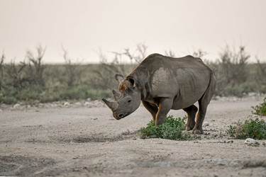 Similar image 22209032