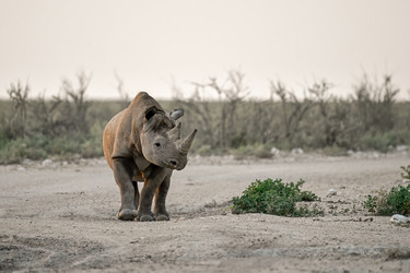 Similar image 22209033