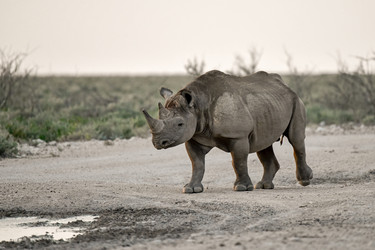 Similar image 22209034