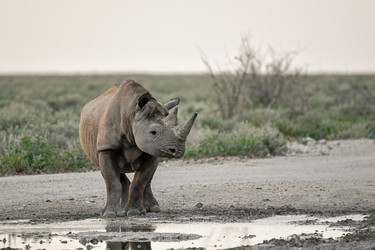 Similar image 22209035