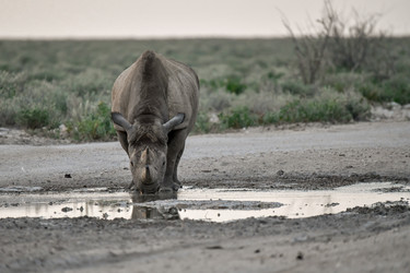 Similar image 22209036