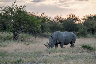 Similar image 22209037