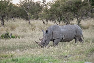 Similar image 22209038