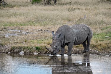 Similar image 22209040