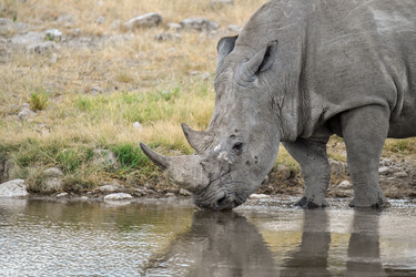 Similar image 22209041