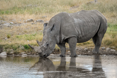 Similar image 22209042