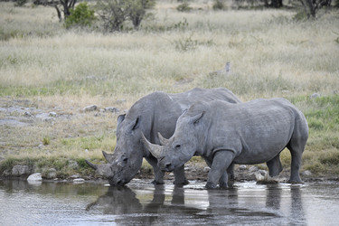 Similar image 22209045