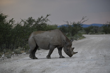 Similar image 22209046