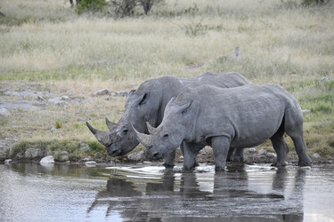 Similar image 22209047