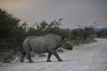 Similar image 22209048