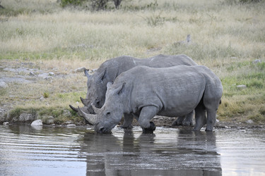 Similar image 22209049