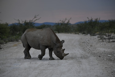 Similar image 22209050