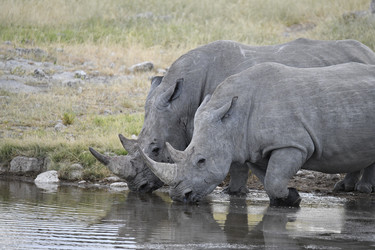 Similar image 22209051