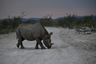 Similar image 22209052