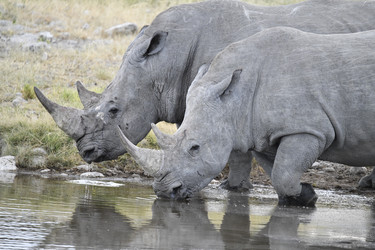 Similar image 22209053